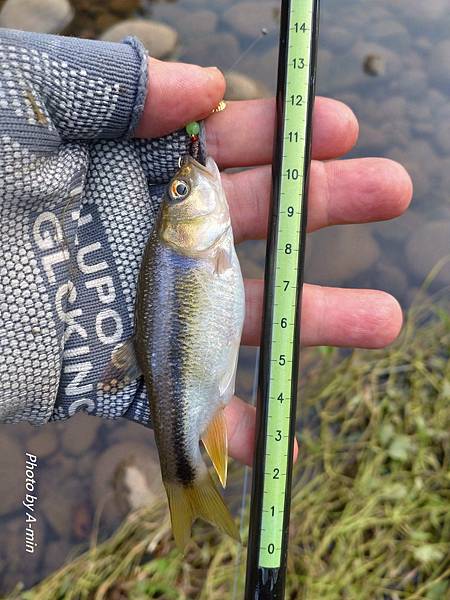 DSC_2646.JPG DSC_2646.JPG