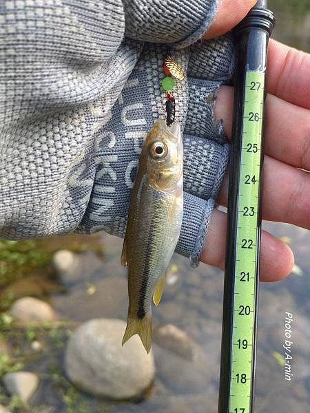 DSC_2645.JPG DSC_2645.JPG