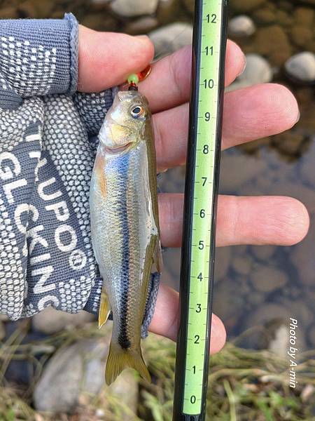 DSC_2648.JPG DSC_2648.JPG