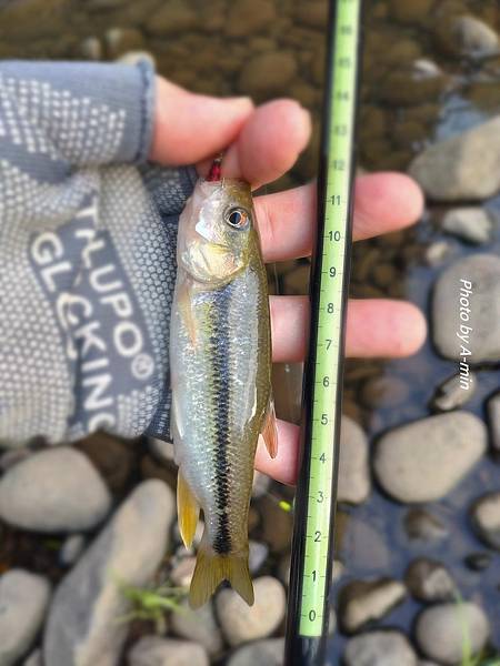 DSC_2655.JPG DSC_2655.JPG