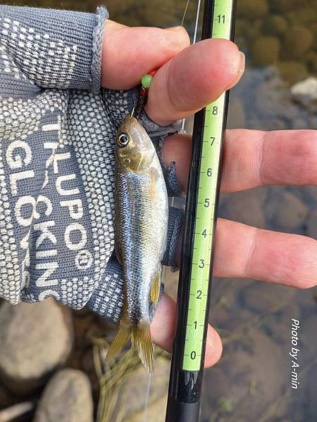 DSC_2654.JPG DSC_2654.JPG