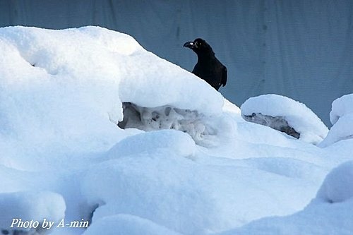 2011 北海道攝旅 14 旭川新站 2011 北海道攝旅 14 旭川新站