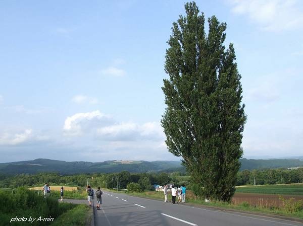 09 美瑛-拼布之路 09 美瑛-拼布之路