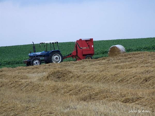 09 美瑛-拼布之路 09 美瑛-拼布之路