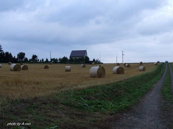 09 美瑛-拼布之路 09 美瑛-拼布之路