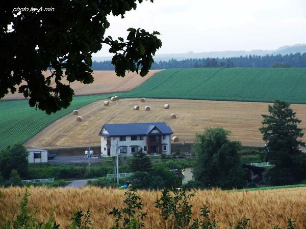 09 美瑛-拼布之路 09 美瑛-拼布之路