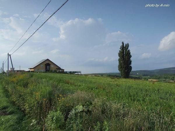 09 美瑛-拼布之路 09 美瑛-拼布之路