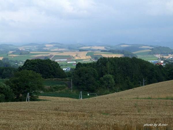 09 美瑛-拼布之路 09 美瑛-拼布之路