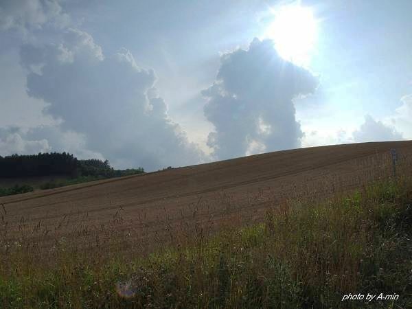 09 美瑛-拼布之路 09 美瑛-拼布之路