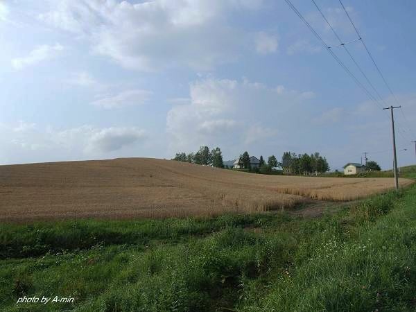 09 美瑛-拼布之路 09 美瑛-拼布之路