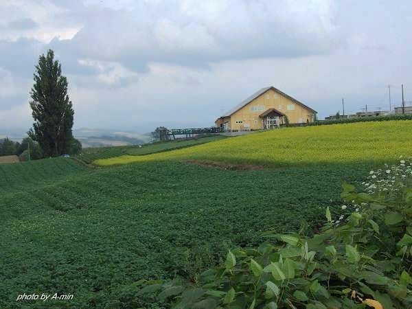 09 美瑛-拼布之路 09 美瑛-拼布之路