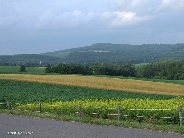 09 美瑛-拼布之路 09 美瑛-拼布之路