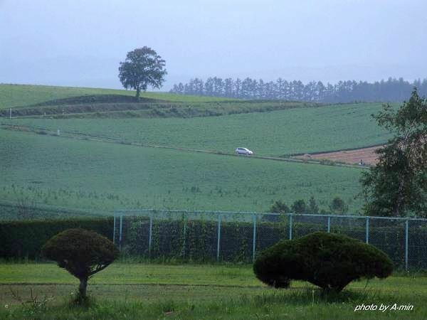 09 美瑛-拼布之路 09 美瑛-拼布之路