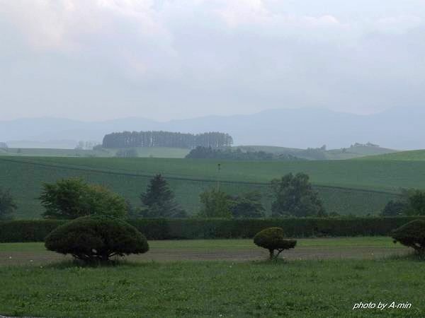 09 美瑛-拼布之路 09 美瑛-拼布之路