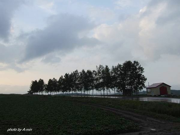 09 美瑛-拼布之路 09 美瑛-拼布之路