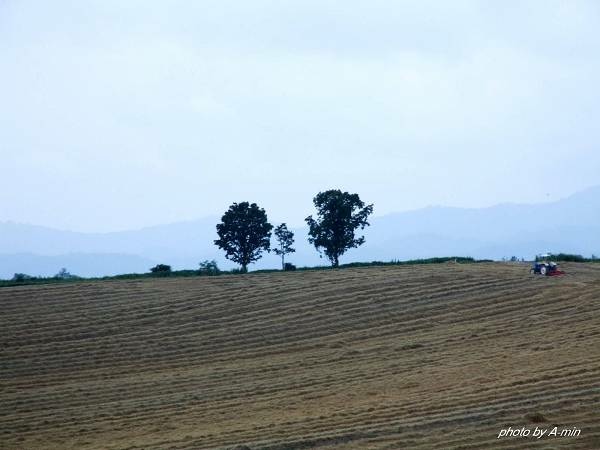 09 美瑛-拼布之路 09 美瑛-拼布之路