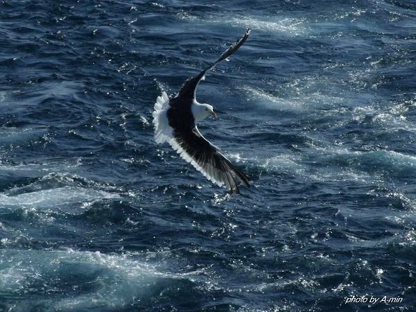 20 洞爺湖遊船 20 洞爺湖遊船