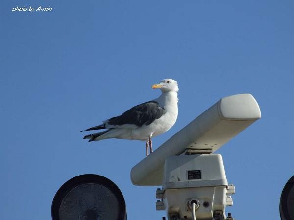 20 洞爺湖遊船 20 洞爺湖遊船