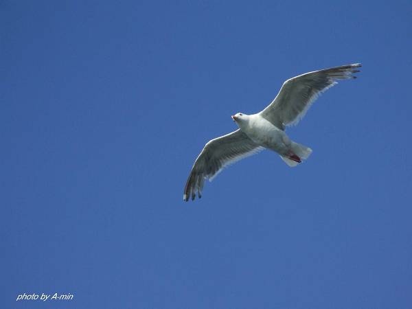 20 洞爺湖遊船 20 洞爺湖遊船