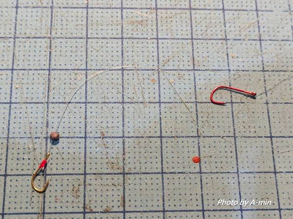 2025/08城市釣遊@大湖公園 2025/08城市釣遊@大湖公園