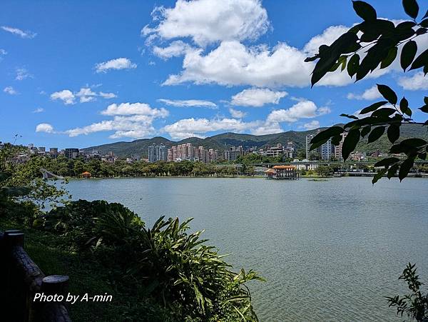 2025/08城市釣遊@大湖公園 2025/08城市釣遊@大湖公園
