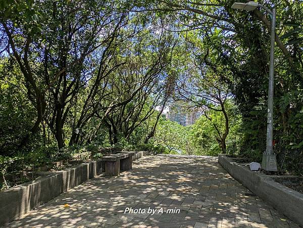 2025/08城市釣遊@大湖公園 2025/08城市釣遊@大湖公園