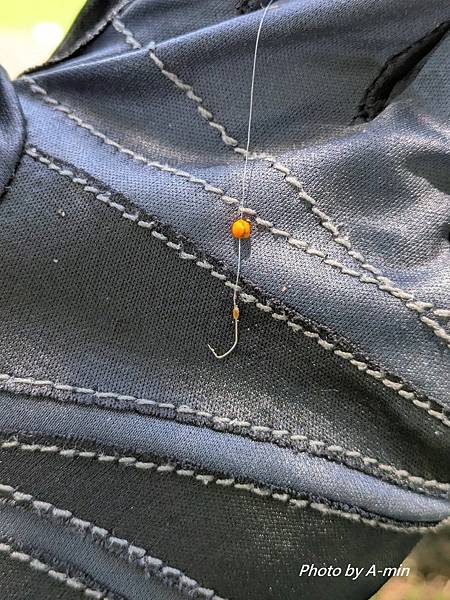 2025/08城市釣遊@大湖公園 2025/08城市釣遊@大湖公園