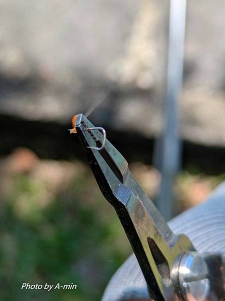 2025/08城市釣遊@大湖公園 2025/08城市釣遊@大湖公園