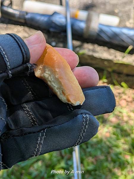 2025/08城市釣遊@大湖公園 2025/08城市釣遊@大湖公園