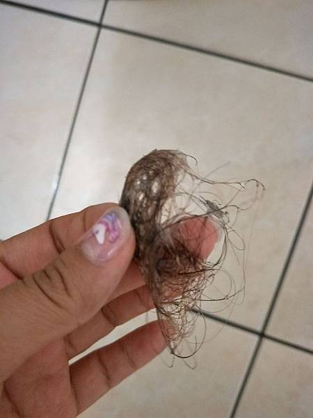 IMG20170815001053.jpg IMG20170815001053.jpg