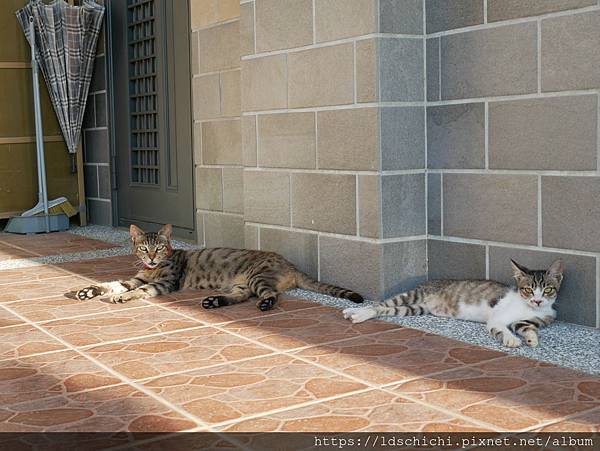 P1030528 - 複製.JPG