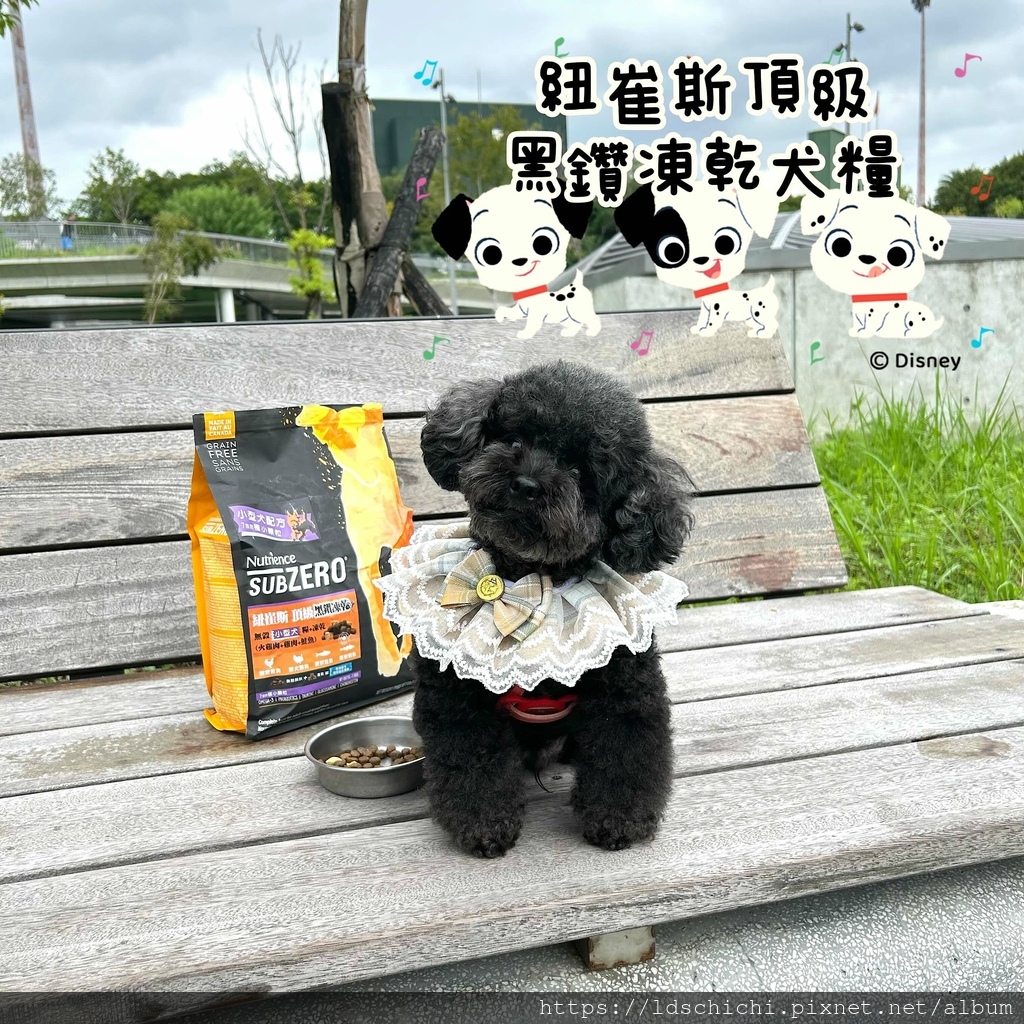 【寵物乾糧】八犬寵物飼料推薦『Nutrience紐崔斯頂級黑 【寵物乾糧】八犬寵物飼料推薦『Nutrience紐崔斯頂級黑