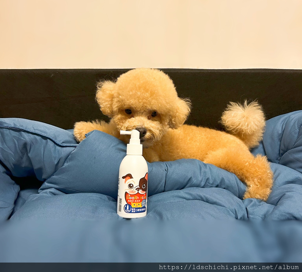 【寵物保養】狗狗口腔保健『汪咪博士-口腔保健噴液(犬用)』推 【寵物保養】狗狗口腔保健『汪咪博士-口腔保健噴液(犬用)』推