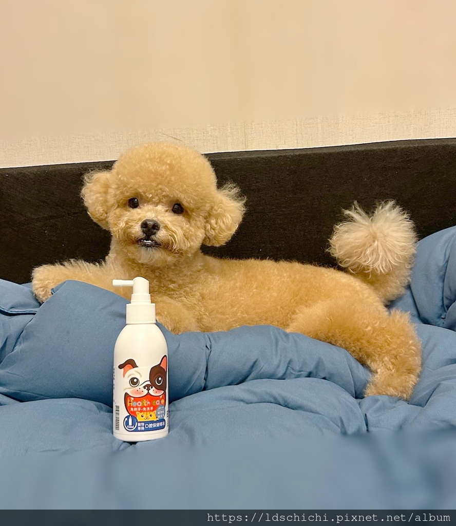 【寵物保養】狗狗口腔保健『汪咪博士-口腔保健噴液(犬用)』推 【寵物保養】狗狗口腔保健『汪咪博士-口腔保健噴液(犬用)』推