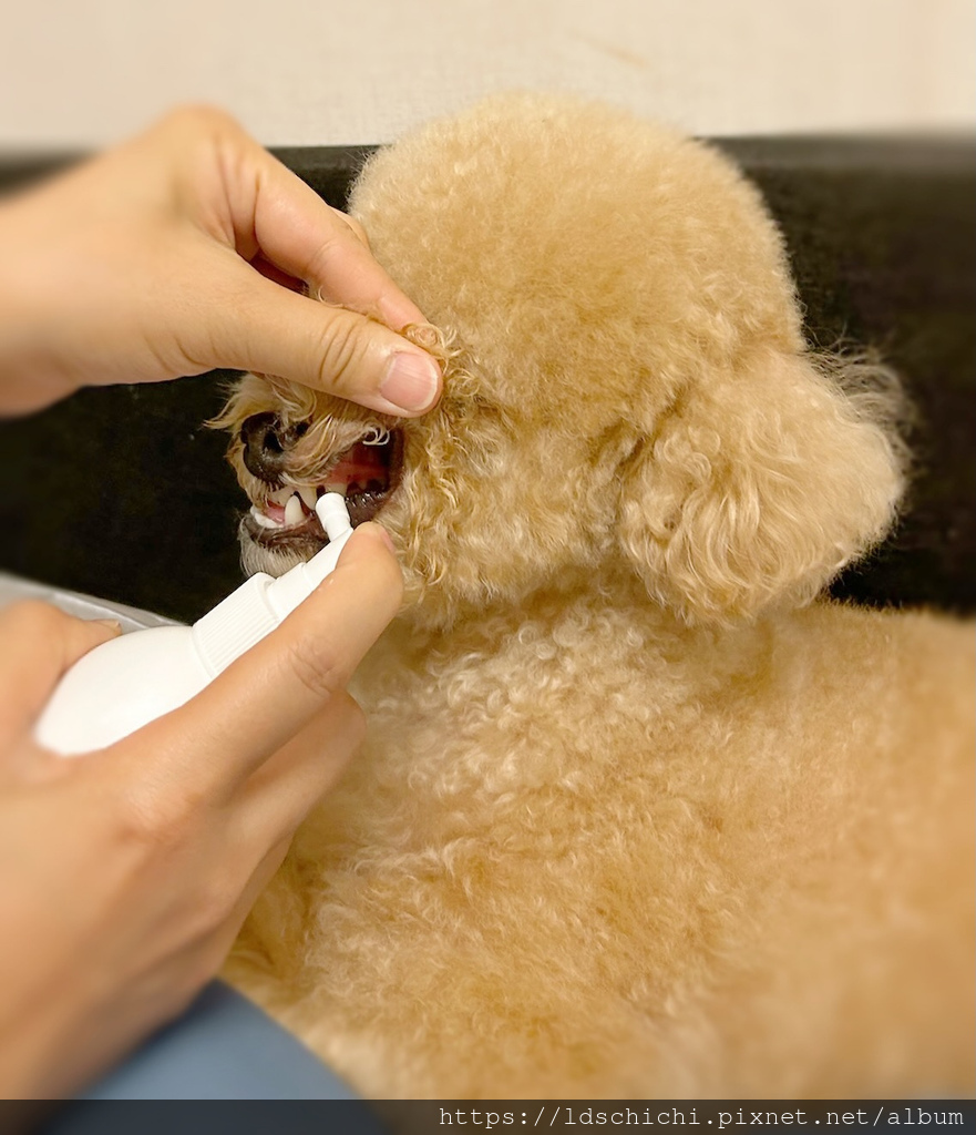 【寵物保養】狗狗口腔保健『汪咪博士-口腔保健噴液(犬用)』推 【寵物保養】狗狗口腔保健『汪咪博士-口腔保健噴液(犬用)』推