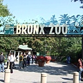 美國最大的BRONX ZOO