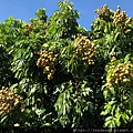 S__18309310.jpg