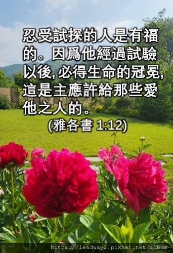 「忍受試探的人是有福的.jpg