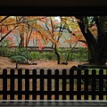 上賀茂神社-4.jpg