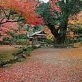 上賀茂神社-5.jpg