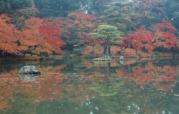 金閣寺-3.jpg