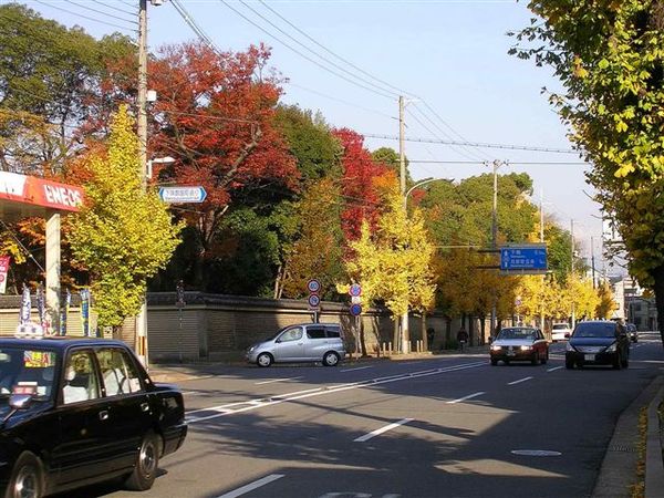 京都街道.jpg