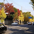 京都街道.jpg