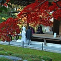 南禪寺-結婚儀式.jpg