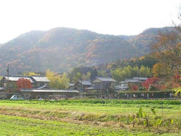 嵐山-千代古道.jpg