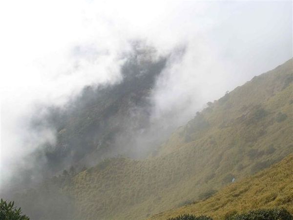 霧裡的主峰山坡.jpg