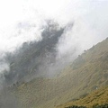 霧裡的主峰山坡.jpg