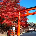 下鴨神社-1.jpg