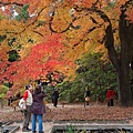 京都市立植物園-2.jpg