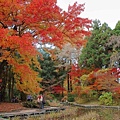 京都市立植物園-3.jpg